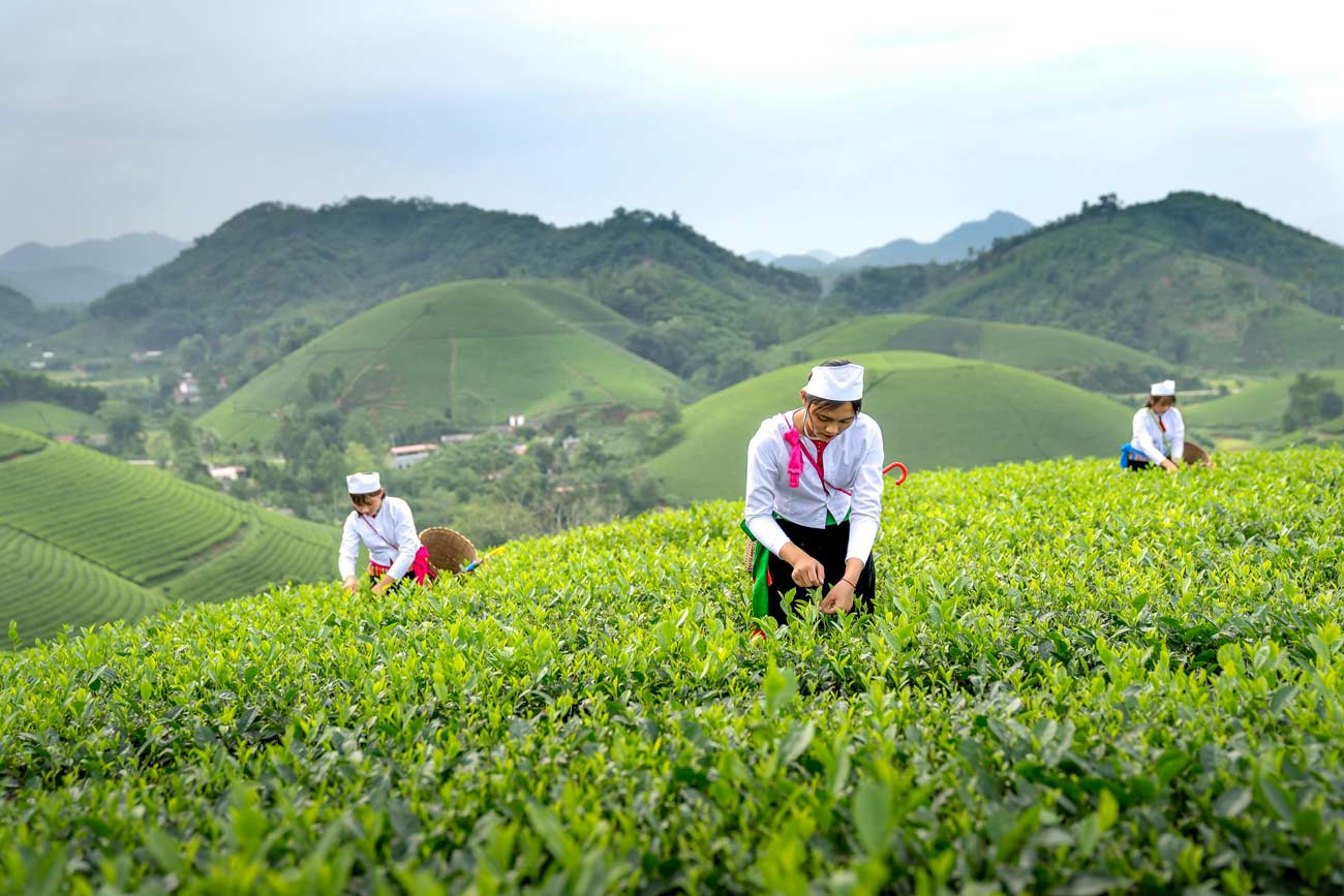 Empowering Tomorrow’s Leader: The Role of Youth in Agrifood Systems Transformation