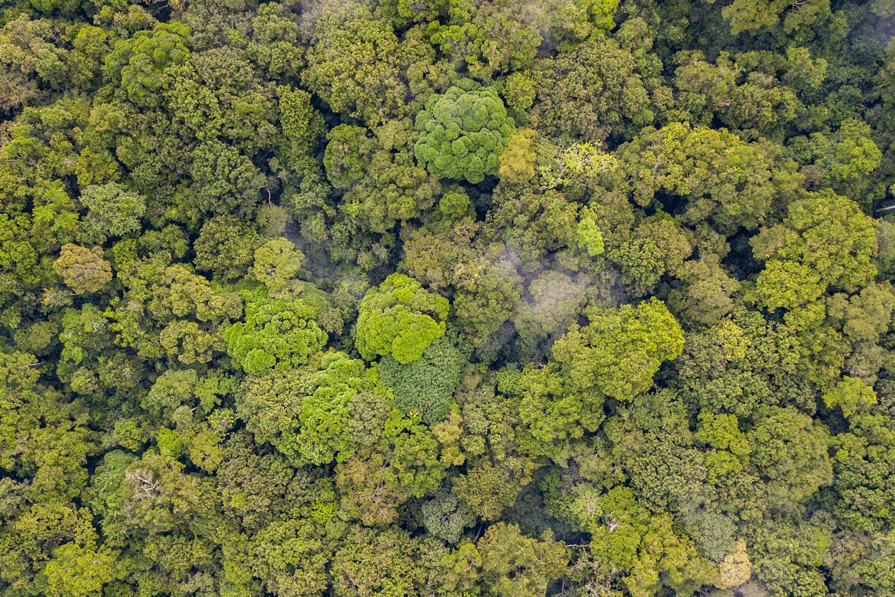 Consultas y sesiones temáticas - Biodiversidad Consultas y sesiones temáticas - Biodiversidad