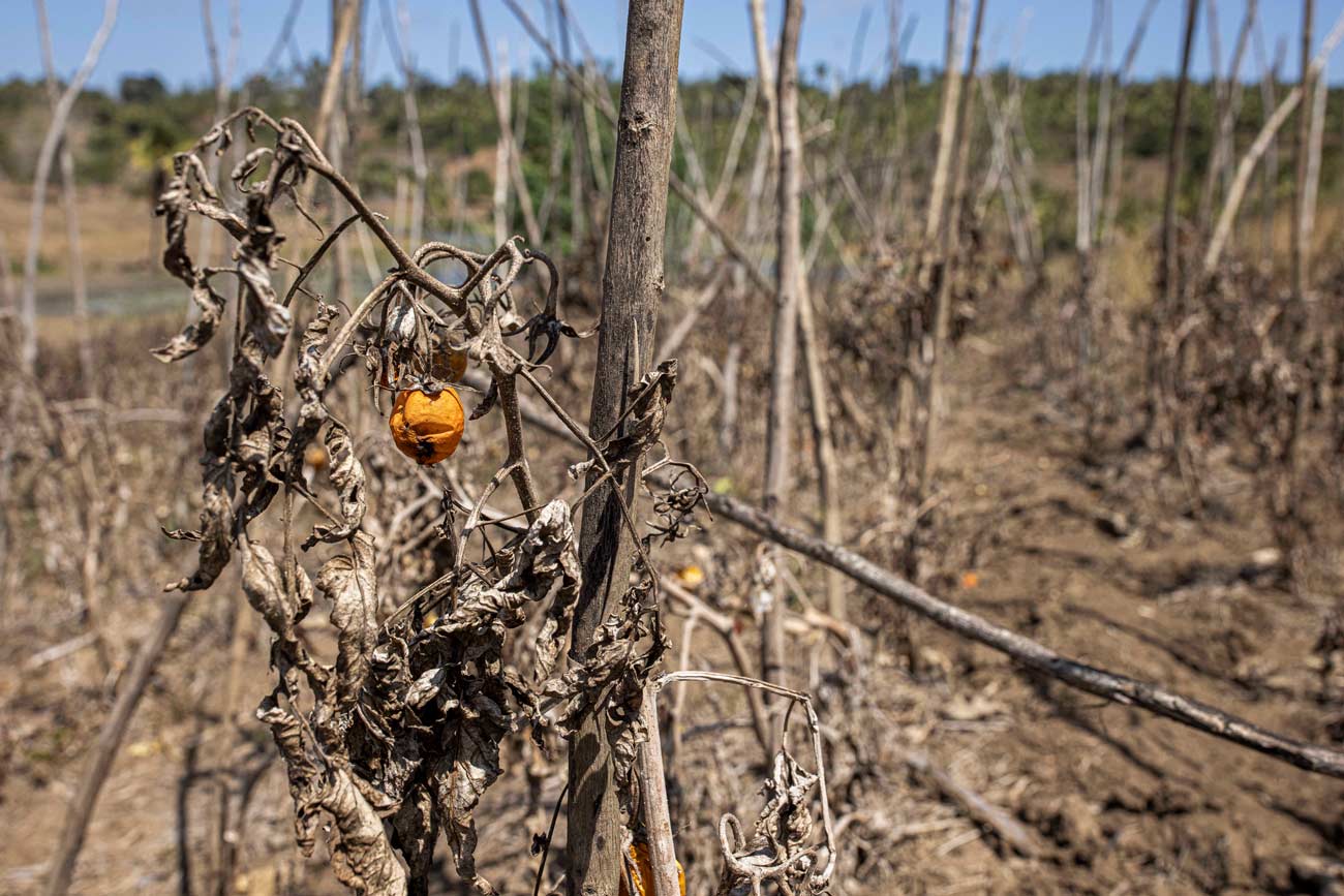 Thematic consultations and sessions - Desertification, land degradation and drought