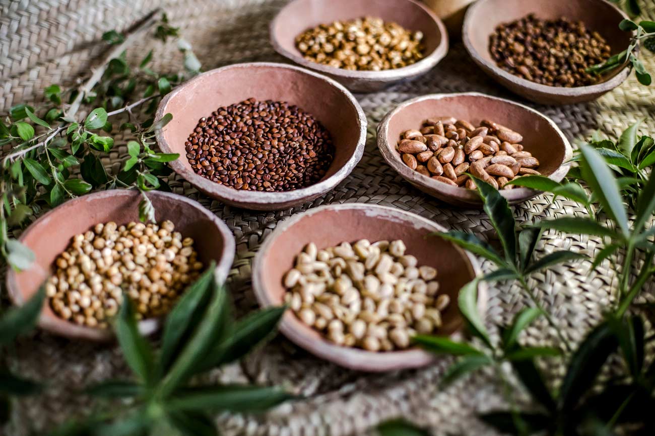 Consultas y sesiones temáticas - Nutrición