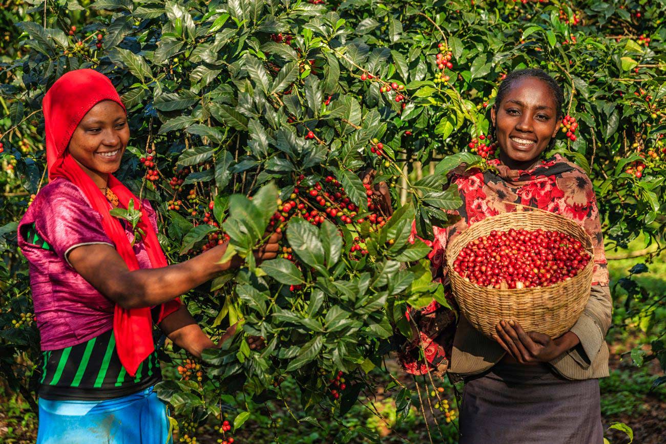 Regional consultations and sessions - Africa Regional consultations and sessions - Africa