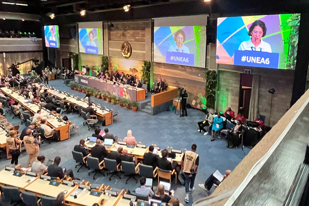 Youth Perspectives: From Ground to Growth - UNEA-6's Vision for Sustainable Land Management and Agriculture