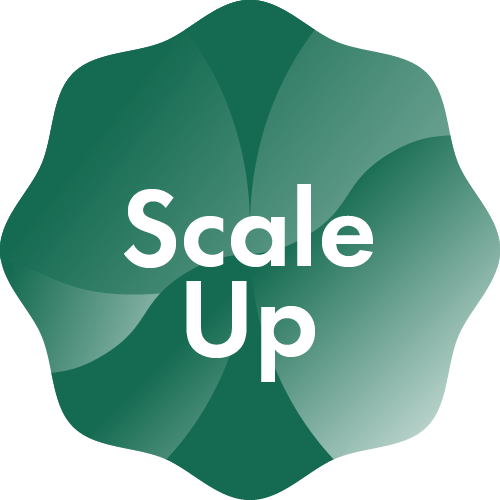 Scale Up