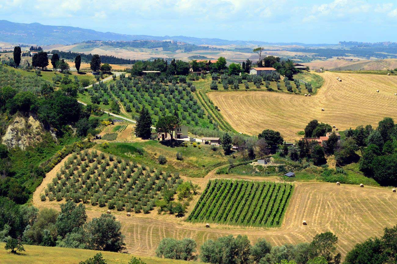 WFF Italy Youth Chapter