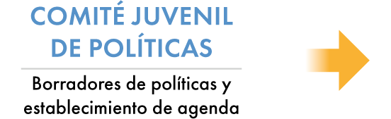 Comité juvenil de políticas